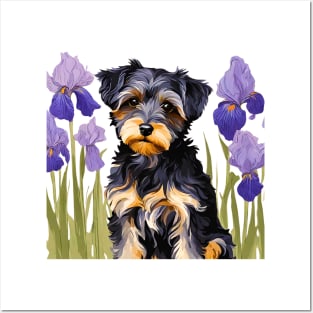 Yorkipoo Amongst Blue Irises Posters and Art